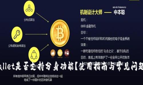 TPWallet是否支持分身功能？使用指南与常见问题解析