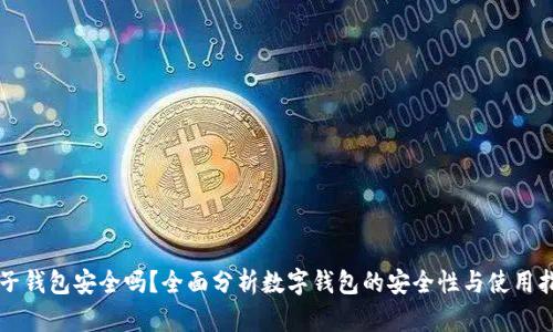 柚子钱包安全吗？全面分析数字钱包的安全性与使用指南