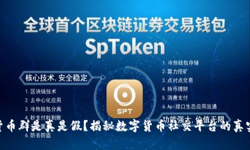 数字货币群是真是假？揭秘数字货币社交平台的真实面貌