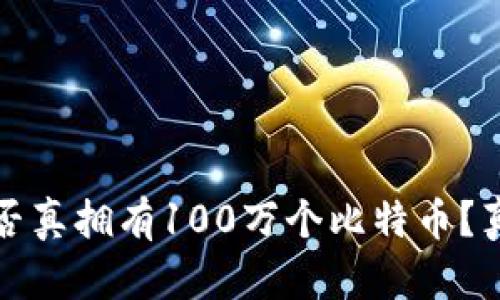 中本聪是否真拥有100万个比特币？真相大揭秘