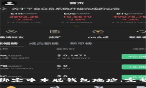 如何绑定中本聪钱包地址：完整指南