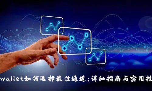 tpwallet如何选择最佳通道：详细指南与实用技巧