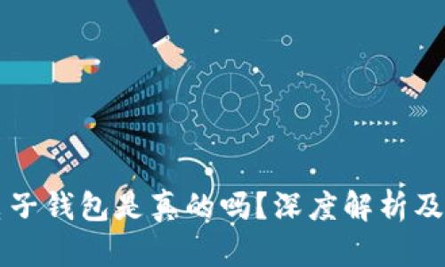 区块链电子钱包是真的吗？深度解析及使用指南