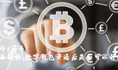 牙专/牙专
全面解析：数字钱包开通后是否可以升级？