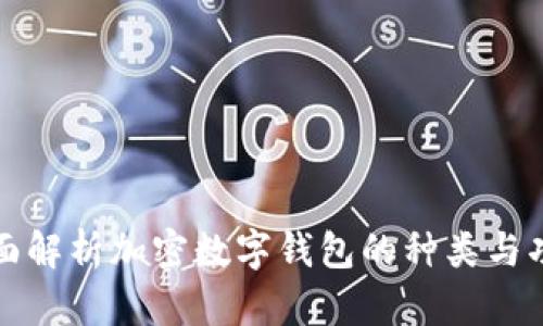 全面解析加密数字钱包的种类与功能