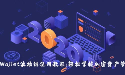 TPWallet波场链使用教程：轻松掌握加密资产管理