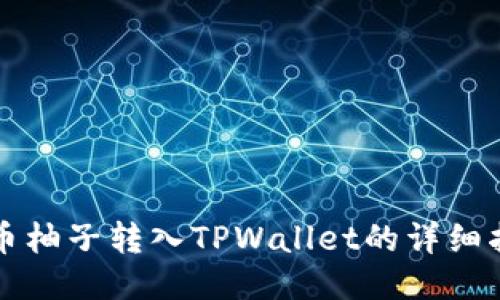 火币柚子转入TPWallet的详细指南