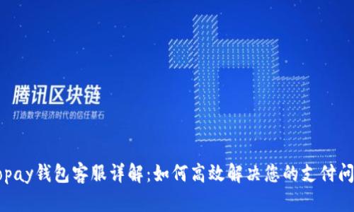 Gopay钱包客服详解：如何高效解决您的支付问题