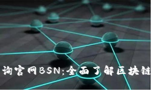 区块链查询官网BSN：全面了解区块链服务网络