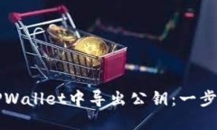 如何在TPWallet中导出公钥：一步一步指导