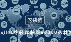 如何在TP Wallet中轻松抽到6000U的技巧与经验分享
