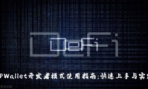 TPWallet开发者模式使用指南：快速上手与实践