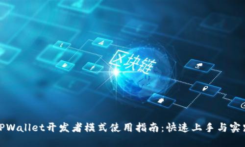 TPWallet开发者模式使用指南：快速上手与实践