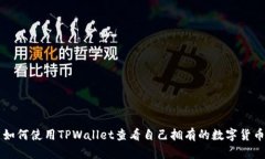 如何使用TPWallet查看自己拥有的数字货币