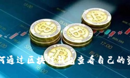 如何通过区块链钱包查看自己的资产