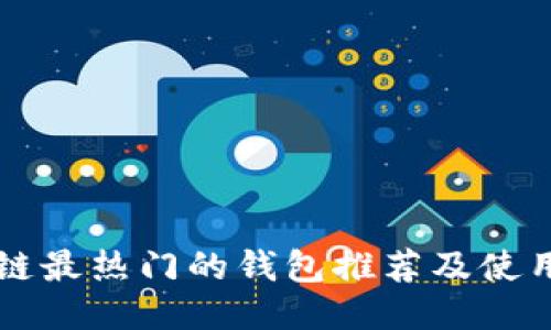 区块链最热门的钱包推荐及使用指南