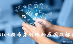 TPWallet提币未到账的原因及解决方案