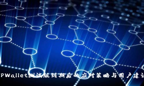 TPWallet测试版到期后的应对策略与用户建议