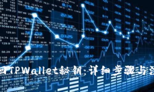 如何找回TPWallet秘钥：详细步骤与注意事项