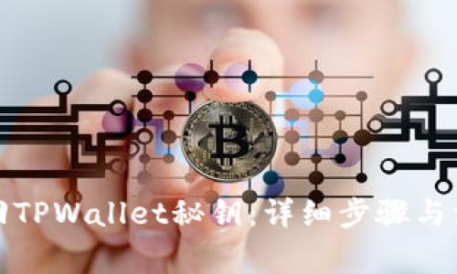 如何找回TPWallet秘钥：详细步骤与注意事项