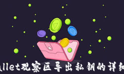
TPWallet观察区导出私钥的详细指南