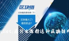 tpwallet：为什么选择这种区块链网络？