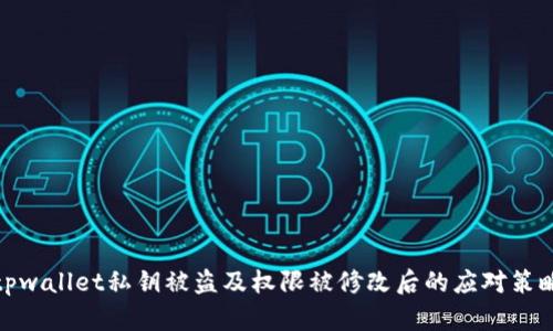 tpwallet私钥被盗及权限被修改后的应对策略