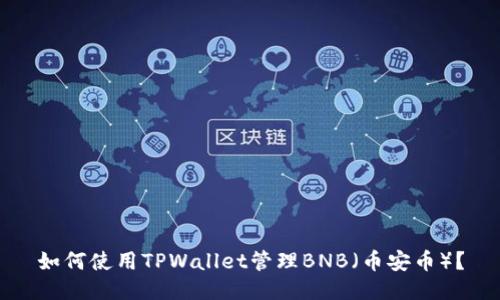 如何使用TPWallet管理BNB（币安币）？
