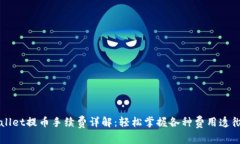 TPWallet提币手续费详解：轻松掌握各种费用透彻分