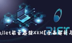 文章TPWallet能否存储XKM？全面解析与使用指南