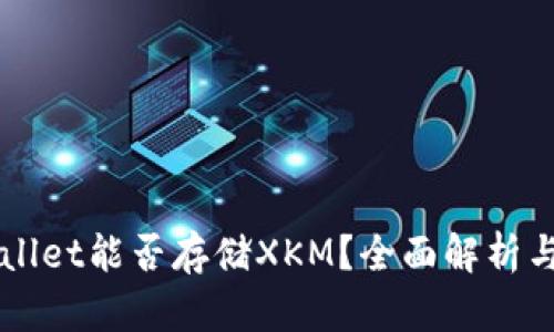 文章TPWallet能否存储XKM？全面解析与使用指南