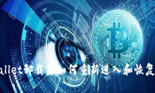 tpwallet卸载后如何重新进入和恢复数据
