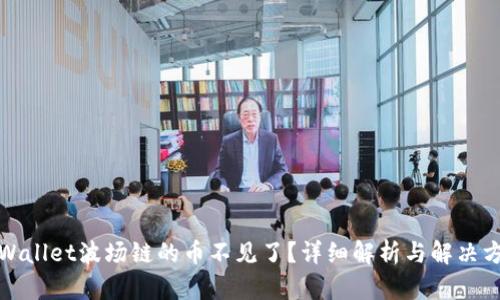 TPWallet波场链的币不见了？详细解析与解决方案