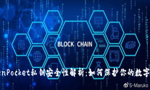 TokenPocket私钥安全性解析：如何保护你的数字资产