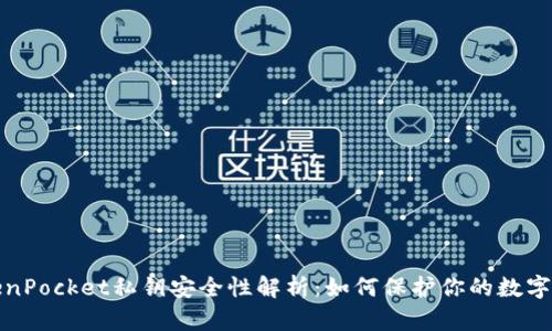 TokenPocket私钥安全性解析：如何保护你的数字资产