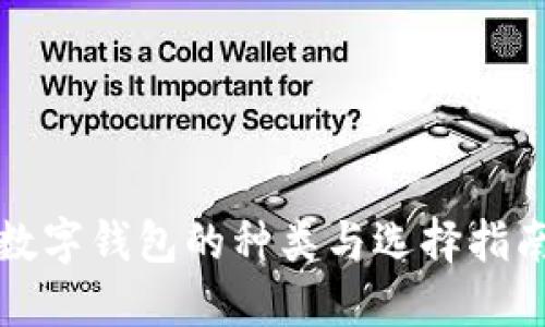 数字钱包的种类与选择指南