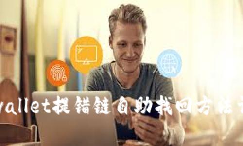 tpwallet提错链自助找回方法详解