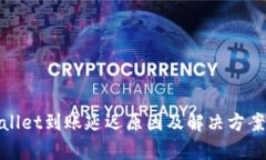 tpwallet到账延迟原因及解决方案解析