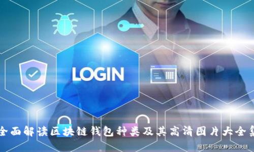 全面解读区块链钱包种类及其高清图片大全集