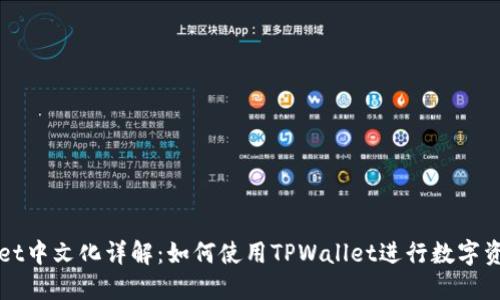 TPWallet中文化详解：如何使用TPWallet进行数字资产管理
