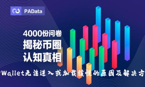 TPWallet无法进入或加载缓慢的原因及解决方法