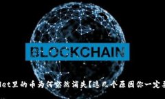 TPWallet里的币为何突然消失？这几个原因你一定要