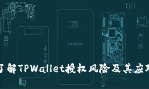 深入了解TPWallet授权风险及其应对策略