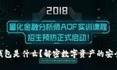 加密钱包是什么？解密数字资产的安全之道