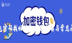 数字钱包密码找回指南：步骤详解与常见问题解