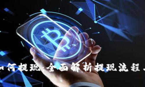 数字钱包如何提现：全面解析提现流程与注意事项