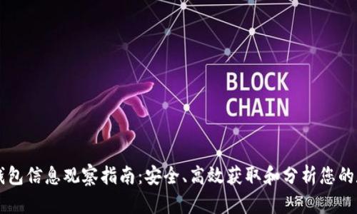 区块链钱包信息观察指南：安全、高效获取和分析您的数字资产
