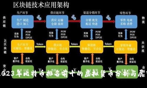 2023年比特币排名前十的虚拟货币分析与展望