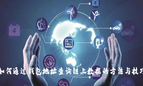 如何通过钱包地址查询链上数据的方法与技巧