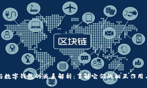 虚拟币与数字钱包的关系解析：了解它们的相互作用与重要性
